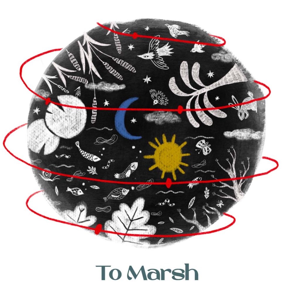 tomarsh1